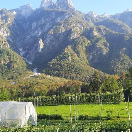 B&B La Casa In Campagna Ospedaletto  Bagian luar foto