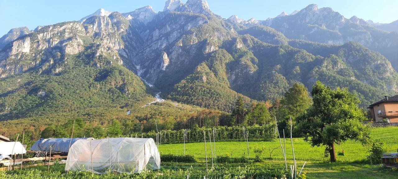 B&B La Casa In Campagna Ospedaletto  Bagian luar foto